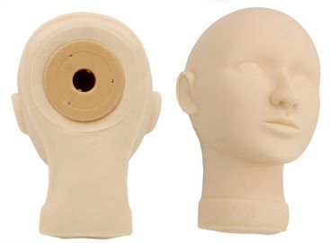 Microblading 훈련 머리 MSDS를 위한 시동기 장비 3D 가짜 연습 모형 머리